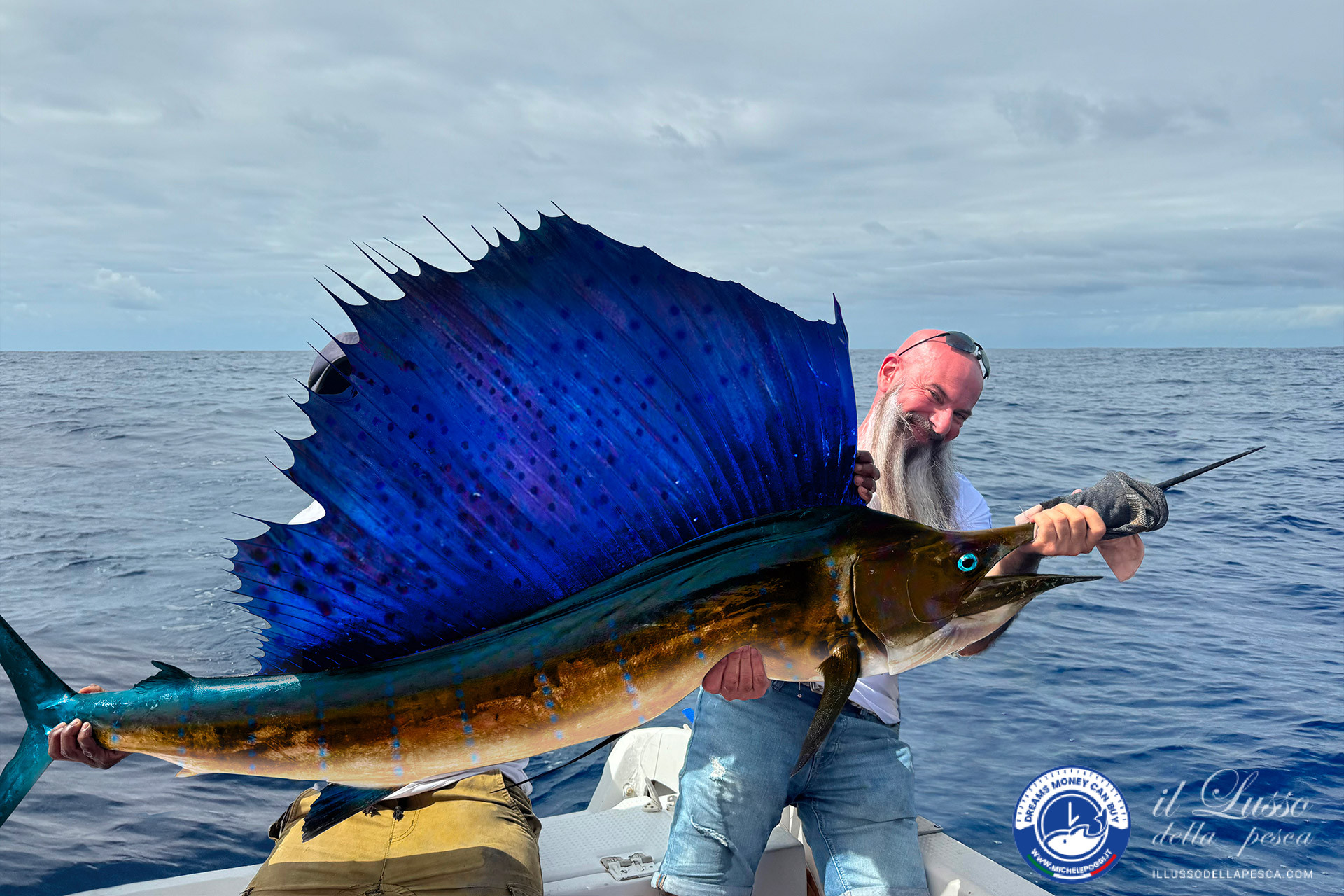 sailfish